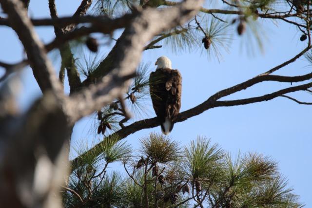 SOUNDWIND CONDO - Residential