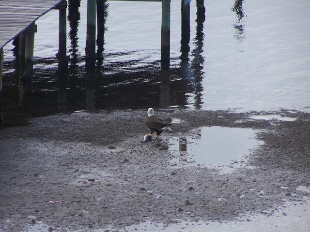 SOUNDWIND CONDO - Residential