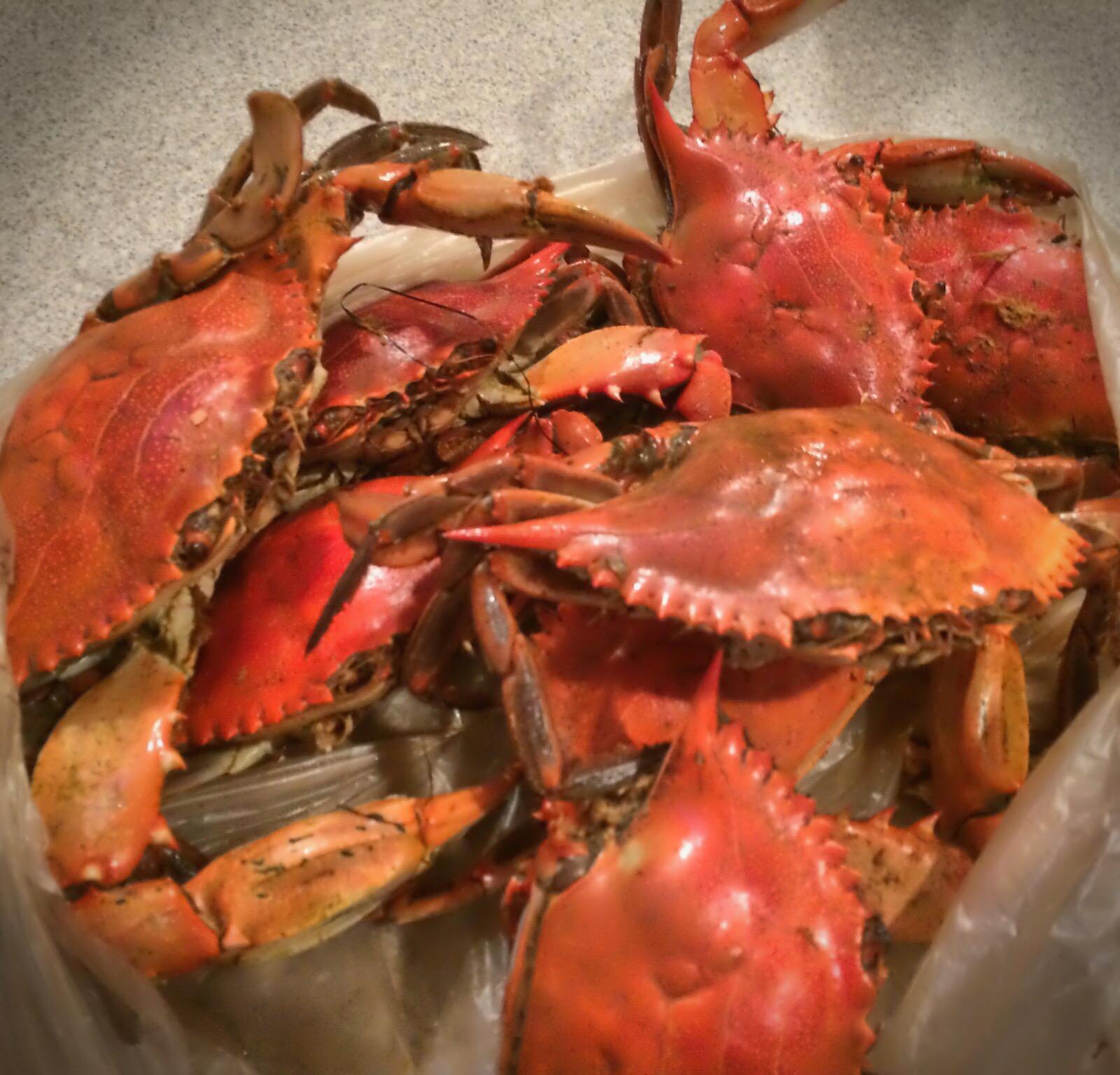 SOUNDWIND CONDO - Residential