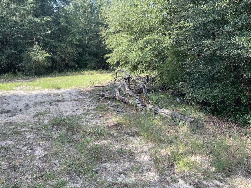 Nearly half acre lot located in north Crestview- level and partly cleared, ready for your house plans!