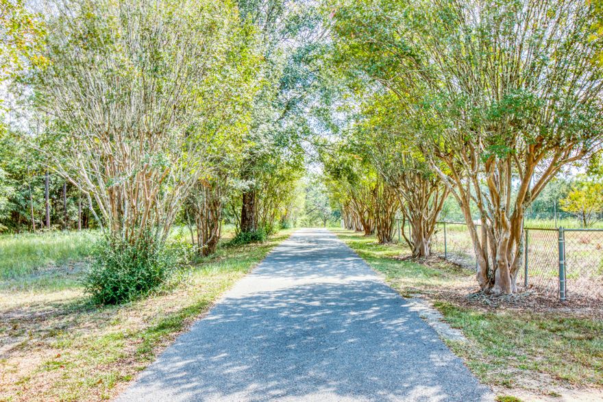 This immaculate 4 bedroom, 2.5 bathroom, 2 car garage, 2,900 sq foot home has been so well maintained, you have to see it to believe it.
Sitting on 10 acres of premier northwest Florida land you will enjoy catching large mouth bass, shell crackers, big bluegill bream and catfish from the comfort of your back yard. Surrounding the stocked private pond is enough woodlands for the hunter in your family to have a tree stand or shooting house.
The home has a new roof, new hot water heater and an updated hvac.
There are many custom features throughout this well maintained home including a pull out toaster, pull out record player, custom alarm and intercom system and a built in safe plus many more custom features.
This is one you have to see to believe.
Check out the 3D tour! showing today. 
The driveway and pond are shared with one other home. 
Buyer to verify all data.