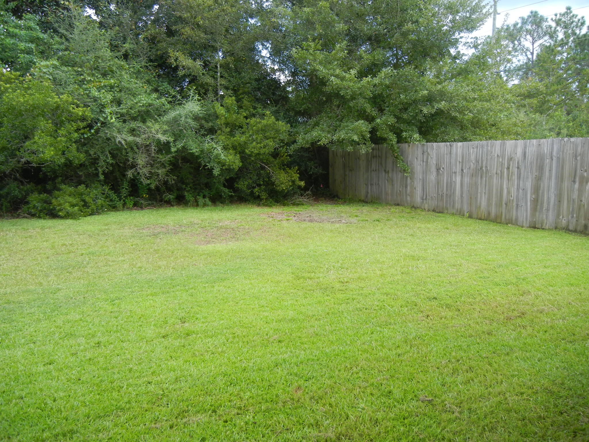 AVALON BEACH - Residential