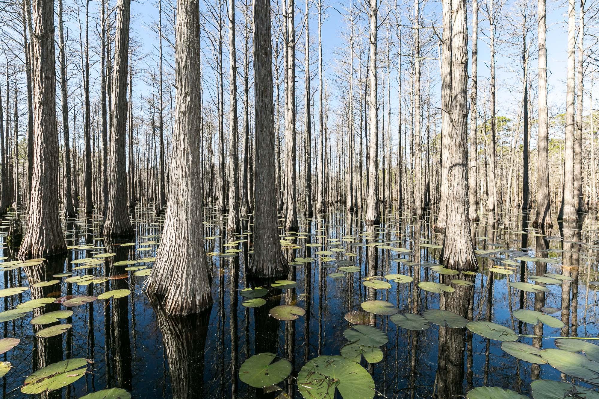 CYPRESS DUNES - Residential