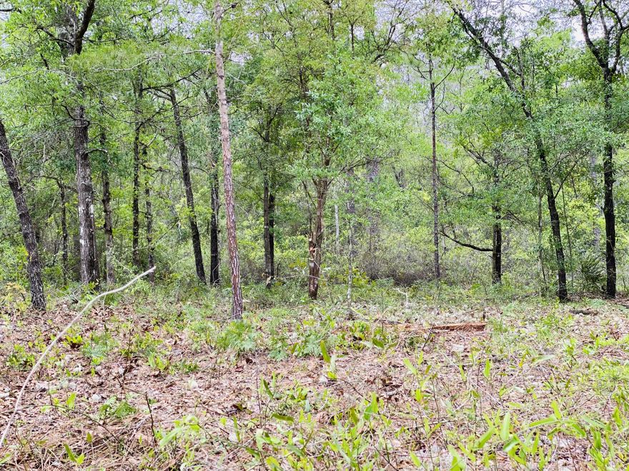 Nestled at the end of a quiet cul-de-sac, this .33-acre lot offers a great opportunity in a growing area with continued development nearby. The location provides added privacy with minimal through traffic while still being convenient to surrounding amenities. Whether you're planning to build in the future or looking to invest in land in an expanding area, this property offers plenty of potential.