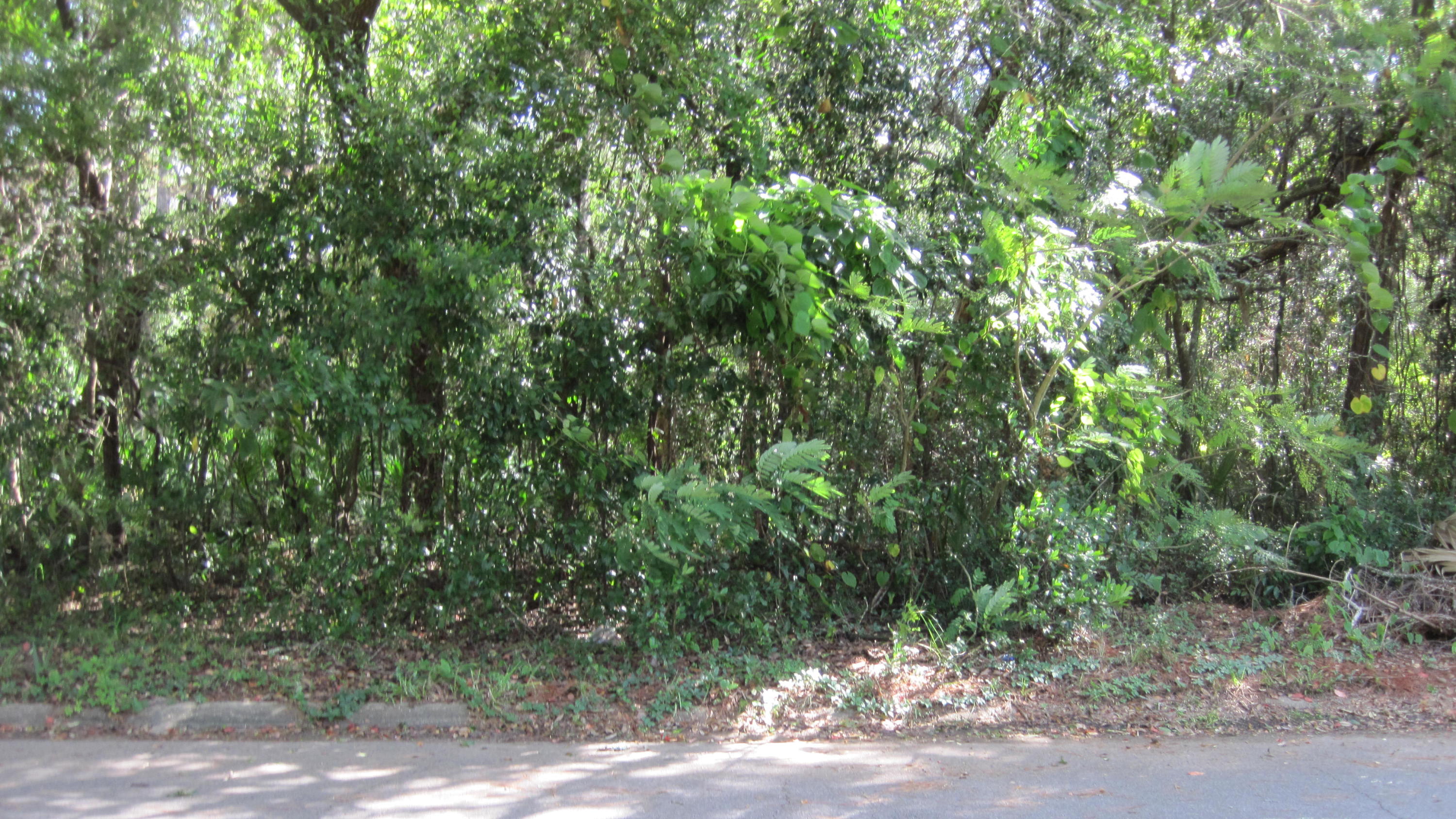 BERKSHIRE WOODS - Land