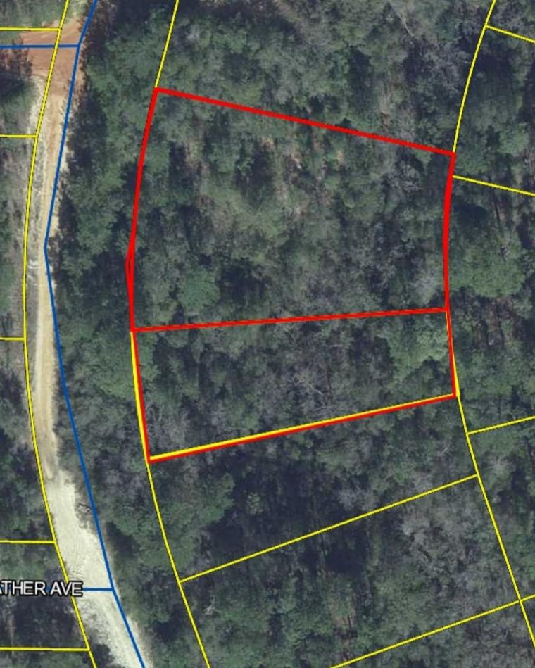 Possible owner financing!!!Don't Miss out on the opportunity to purchase 3 lots in the growing Mossy Head area. As the growing population expands from the Crestview area and the latest industrial boom that is taking place in the vacinity of Mossy Head, these lots could be a great addition to your investment portfolio. If your interested in a home site, these lots could be just right for you too. Whether you'd like a site built home or possiibly a land/home package with your favorite manufactured home, Call Today!!