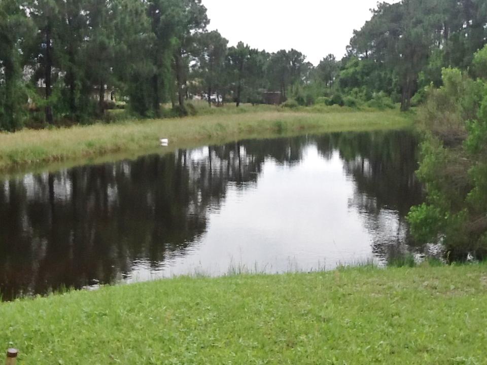 BAYSIDE PH 2 - Residential