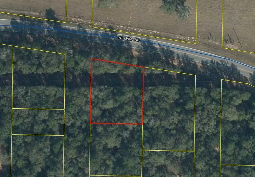 Great price for this quarter acre wooded lot, located on paved WIlliams Road in growing Mossy Head.  It would make a nice investment or homesite.  A well & septic tank will be needed on this lot. There is no sign on the property and a survey will be needed to determine the exact location.  The price reflects this issue.