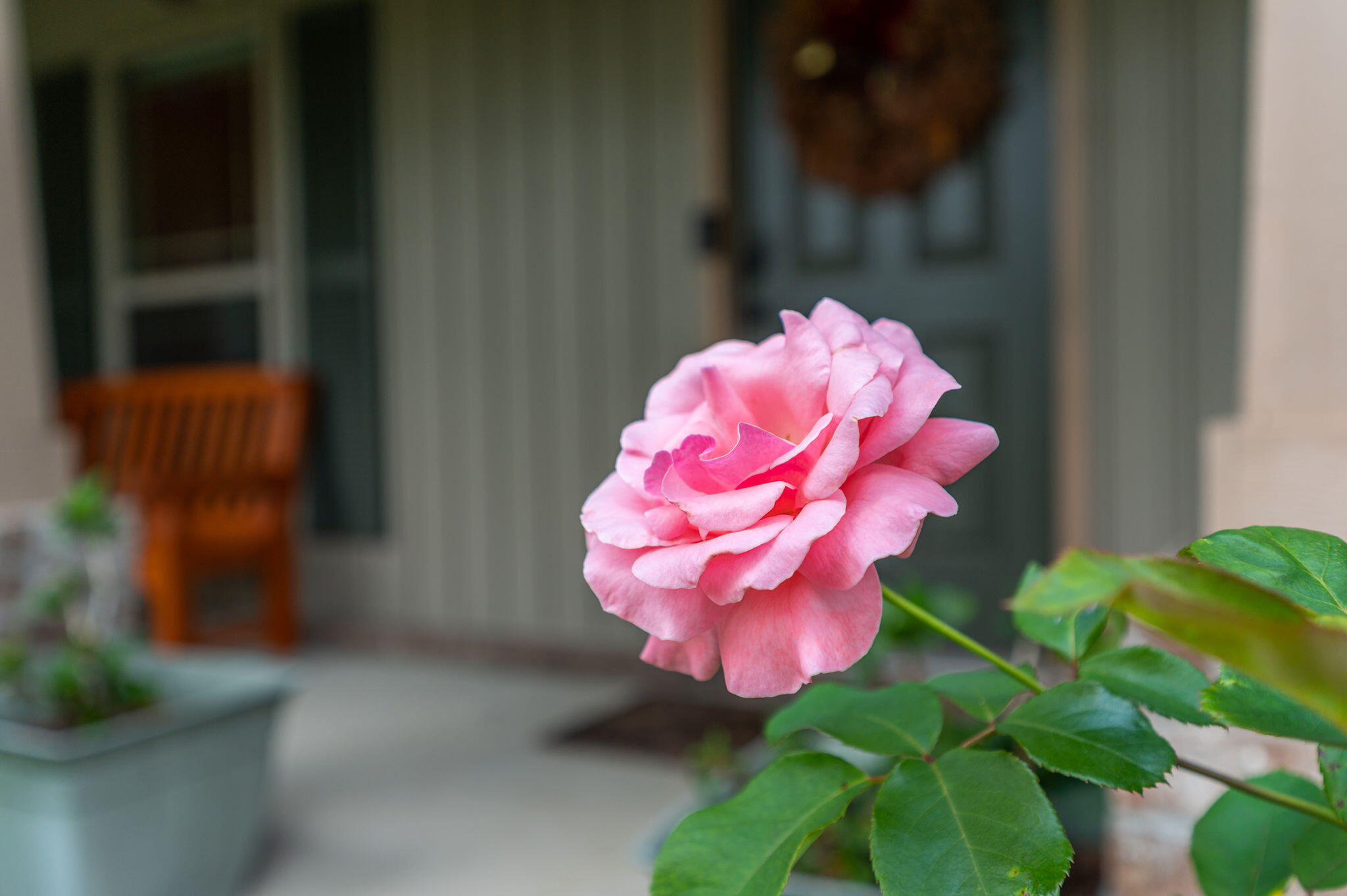 Yellow River Plantation - Residential