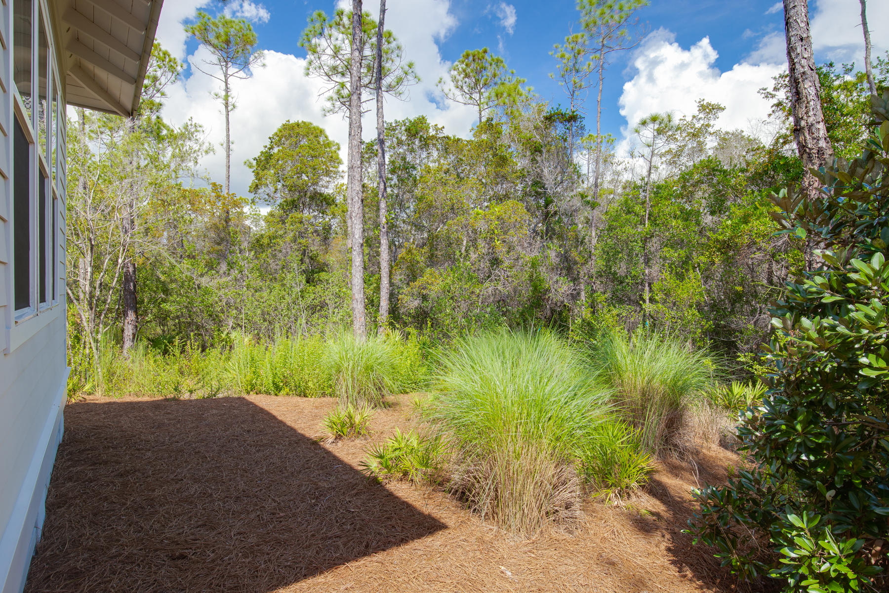 NATUREWALK AT SEAGROVE - Residential