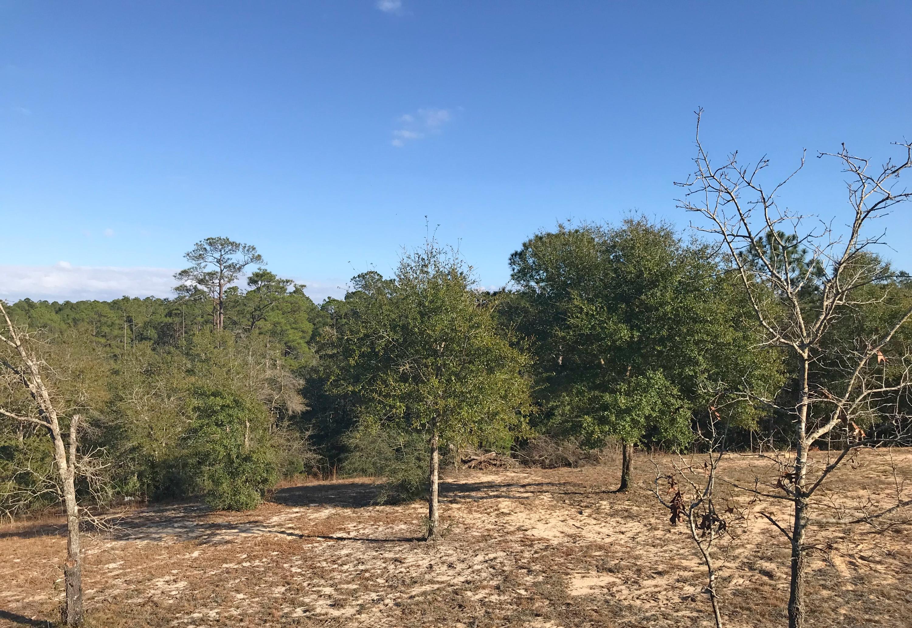 HIDDEN LAKES ESTATES - Residential