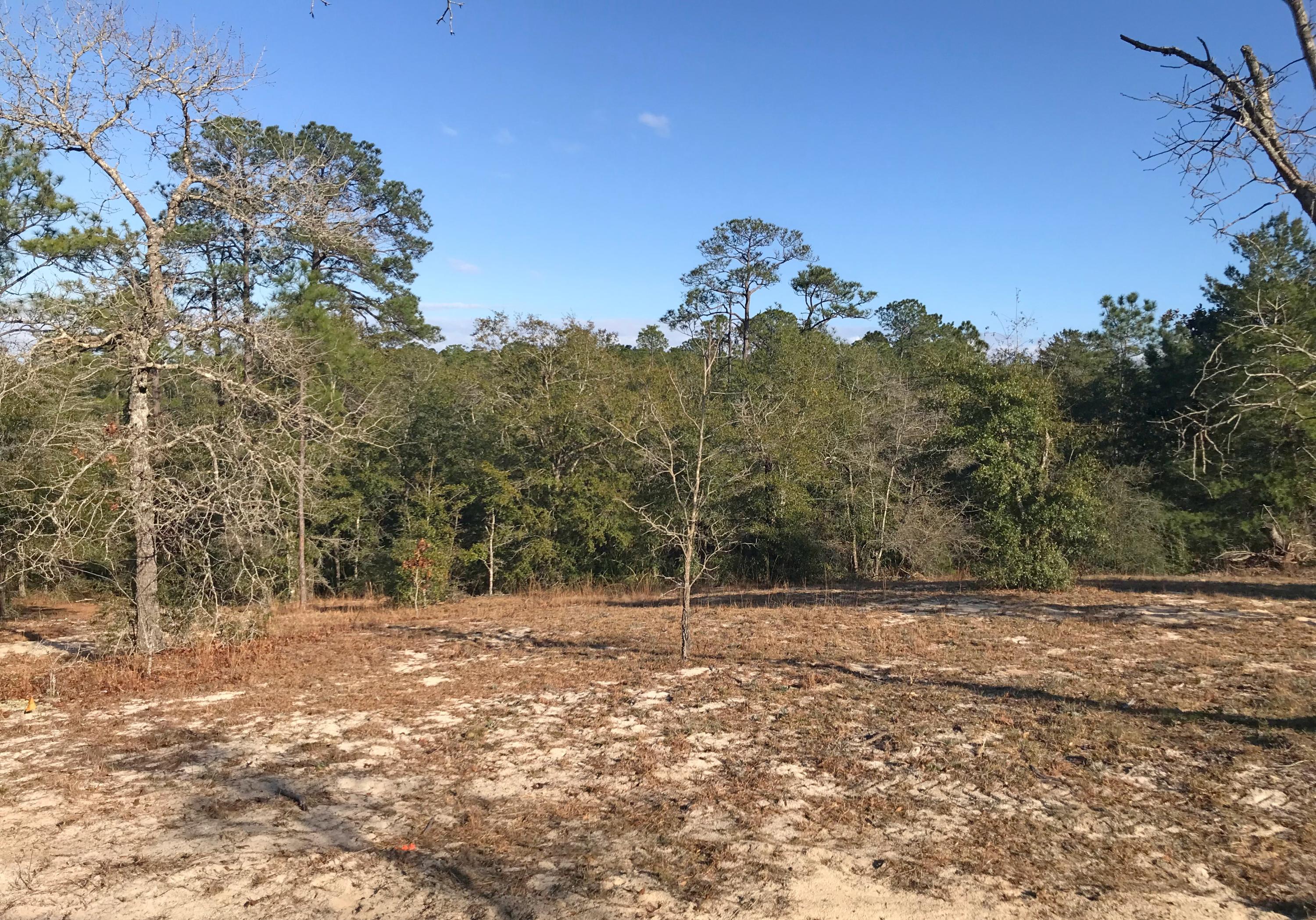 HIDDEN LAKES ESTATES - Residential