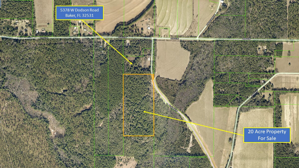 This land is untouched and uncut. You can make it your own.Zoned for Agriculture. Large estate-style homes in the area.You're under 10 minutes away from the town of Baker.County-maintained road.