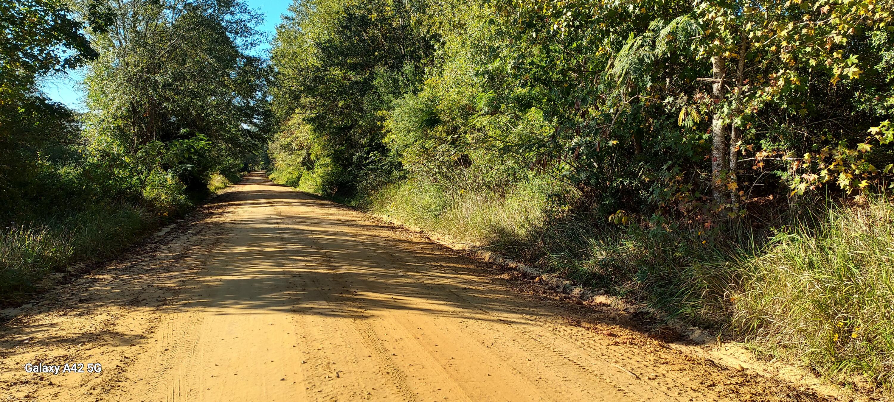 SE1/4 OF NE1/4 LESS RD R/WOR 132/165 UNDIV INT DES IN OR 144/271 WD-OR568/650 LESS: WD-OR 663/831 S - Land