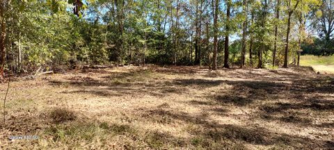 Photo of 1480 Clayton Lane, Westville, FL 32464 (MLS # 987770)