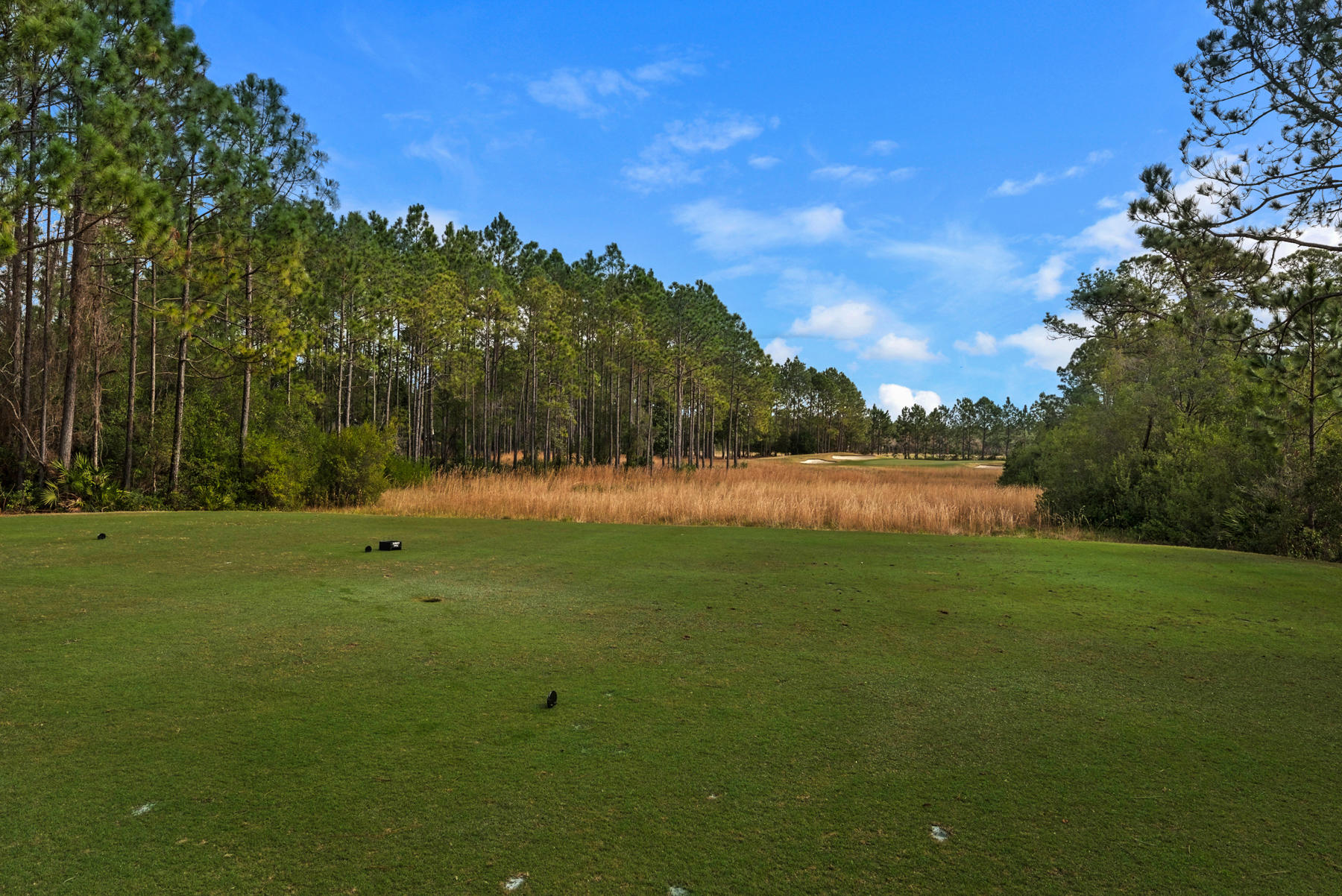 WILD HERON - Residential