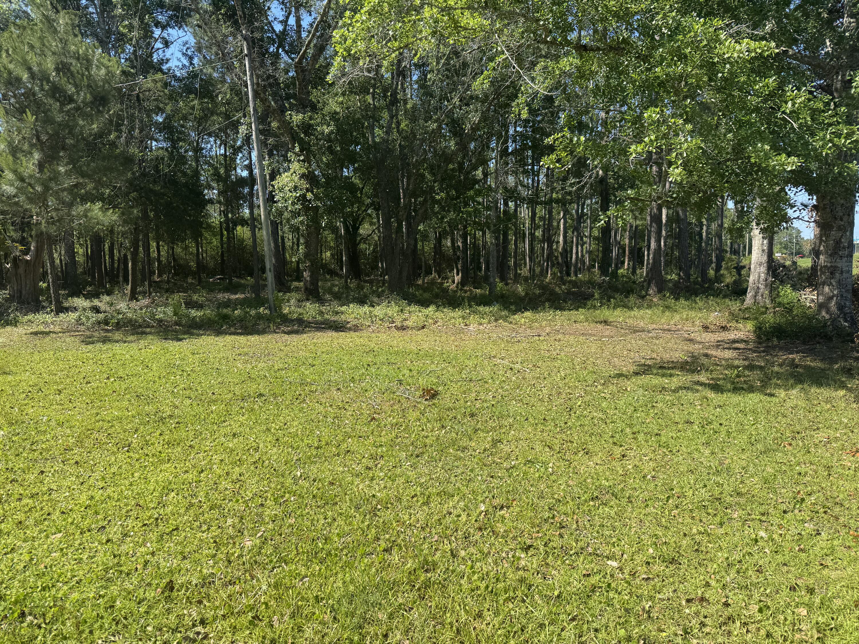 Prime 3.17 -acre parcel on Highway 331 S in the fast-growing Freeport area! Endless possibilities for development or investment. Survey available. Seize this rare opportunity!