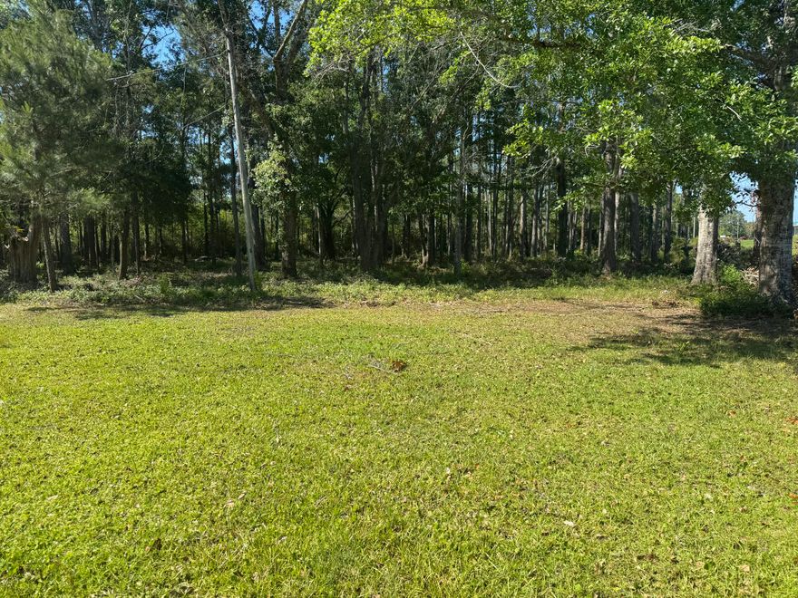 Prime 3.17 -acre parcel on Highway 331 S in the fast-growing Freeport area! Endless possibilities for development or investment. Survey available. Seize this rare opportunity!