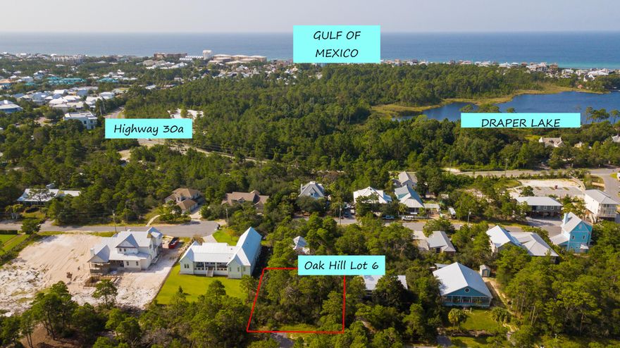 LARGE LOT just off 30a and close to Draper Lake and two beach accesses. One of the only lots in the Blue Mountain Beach area that is unrestricted and so close to everything 30a has to offer. .23 acres with conservation land nearby. Walking distance to the beach, Draper Lake, Gulf Place and so much more. Blue Mountain Beach is one of the most sought after areas on the Gulf Coast. Come see the privacy you have sitting at the end of the road. This lot is high and dry and ready for your 30a dream home.