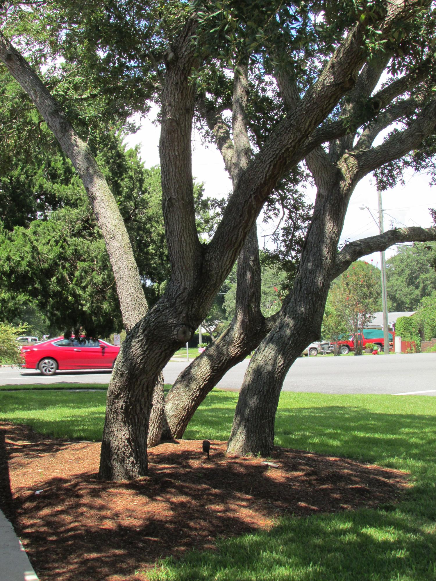 BAYOU S/D - Residential