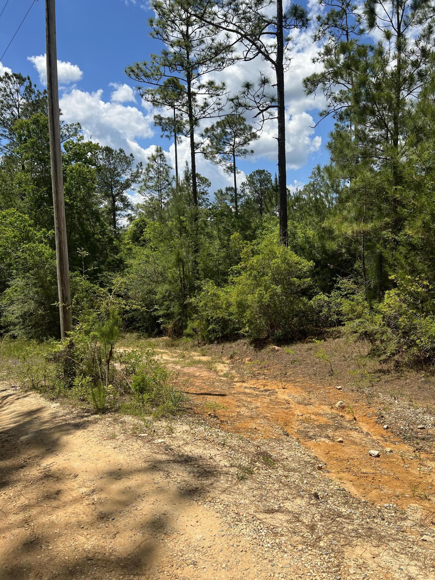 METES & BOUNDS - Land