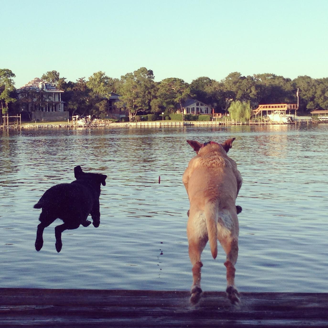 Bayou Subdivision - Residential