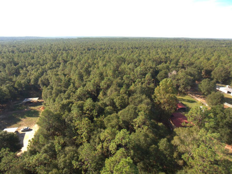 Wonderful 2+ acres, piece of land on a nice black top road. Convenient location close to either Baker, Holt or Crestview. This is a great opportunity to own that nice 2.49 acres of level land in a great location. It is ready for that ''Dream home'' or would also just be a great investment for future plans. The land is currently left alone and heavily wooded. This way you can leave it as an Oasis with your home in the middle or you can clear cut it and make it farm ready. Come and take a closer look at this property before it is sold and gone.