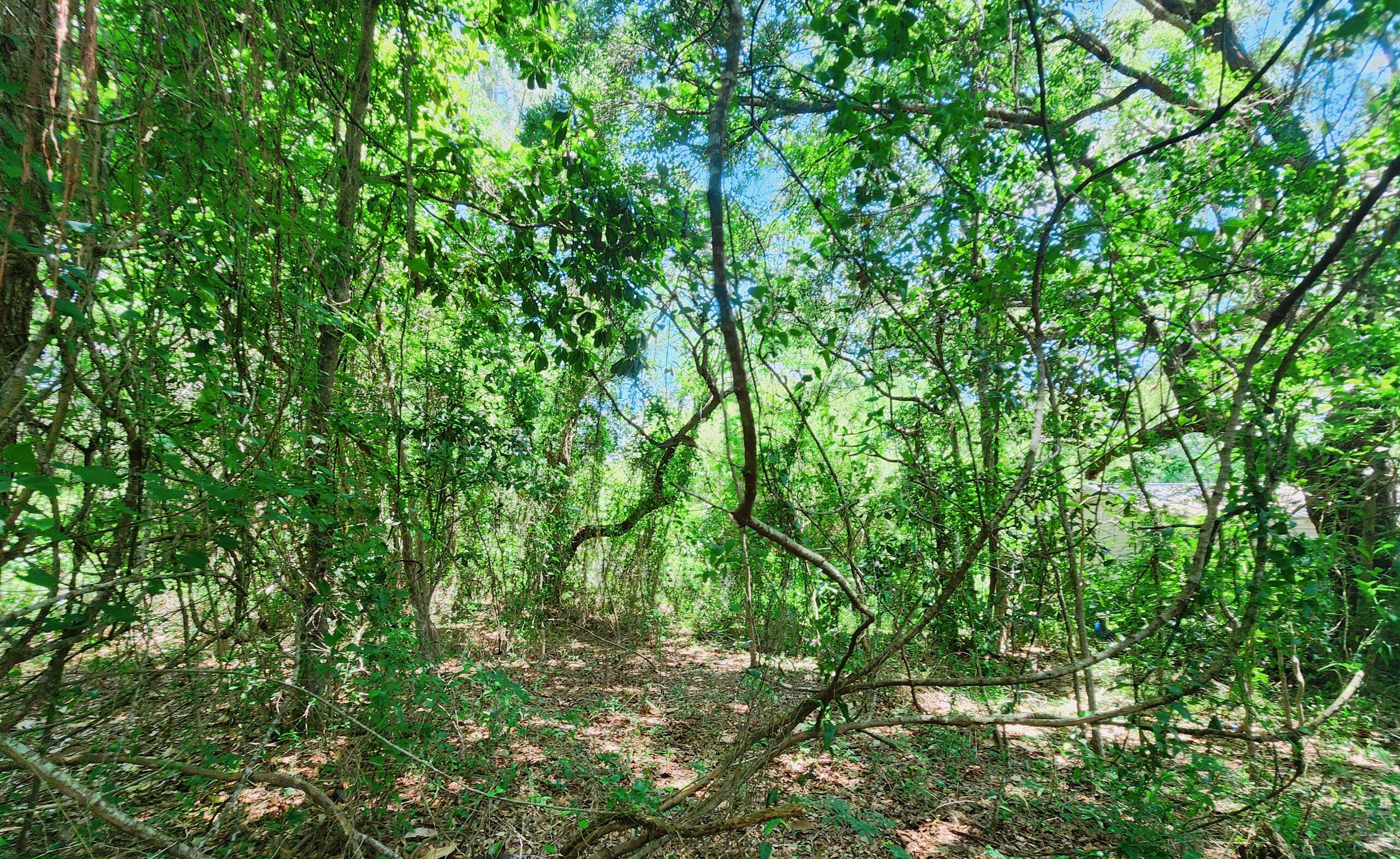 Choctaw 2nd Add - Land