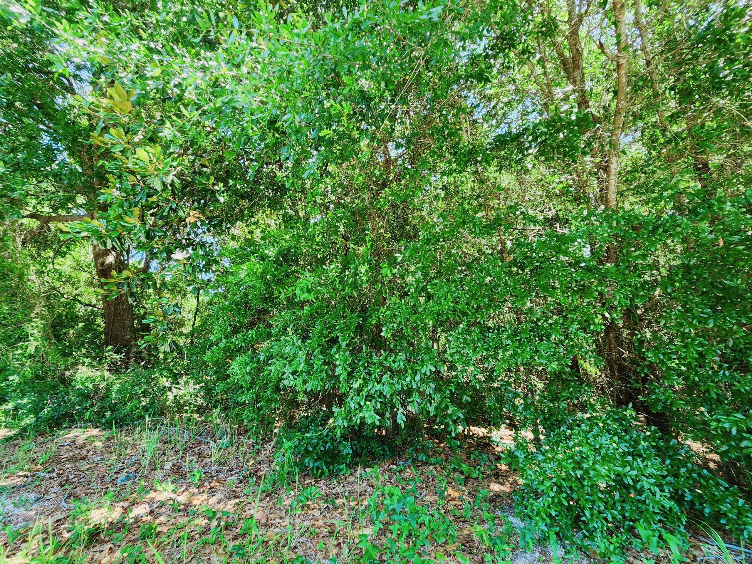 Choctaw 2nd Add - Land