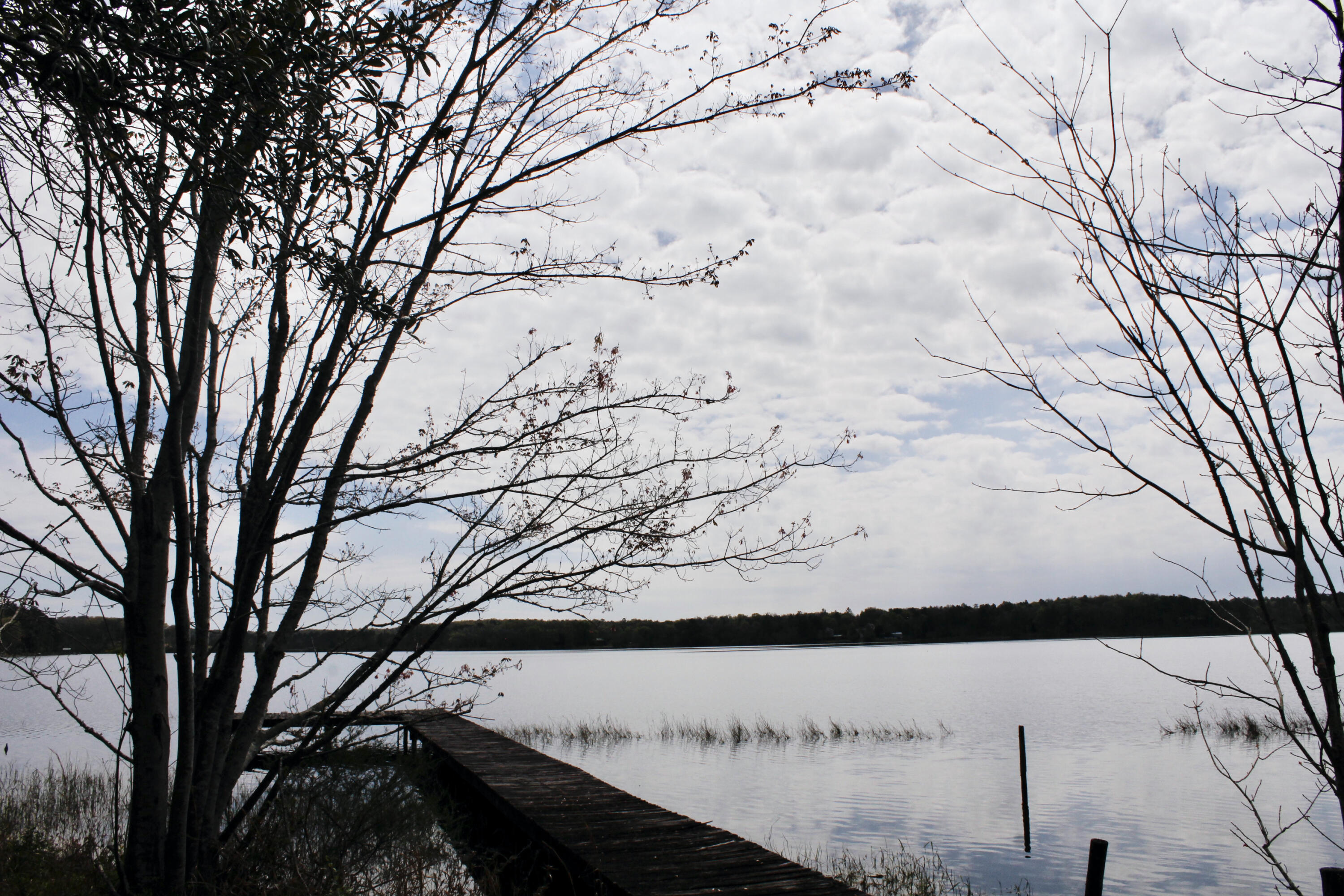 Holbrook Property - Land