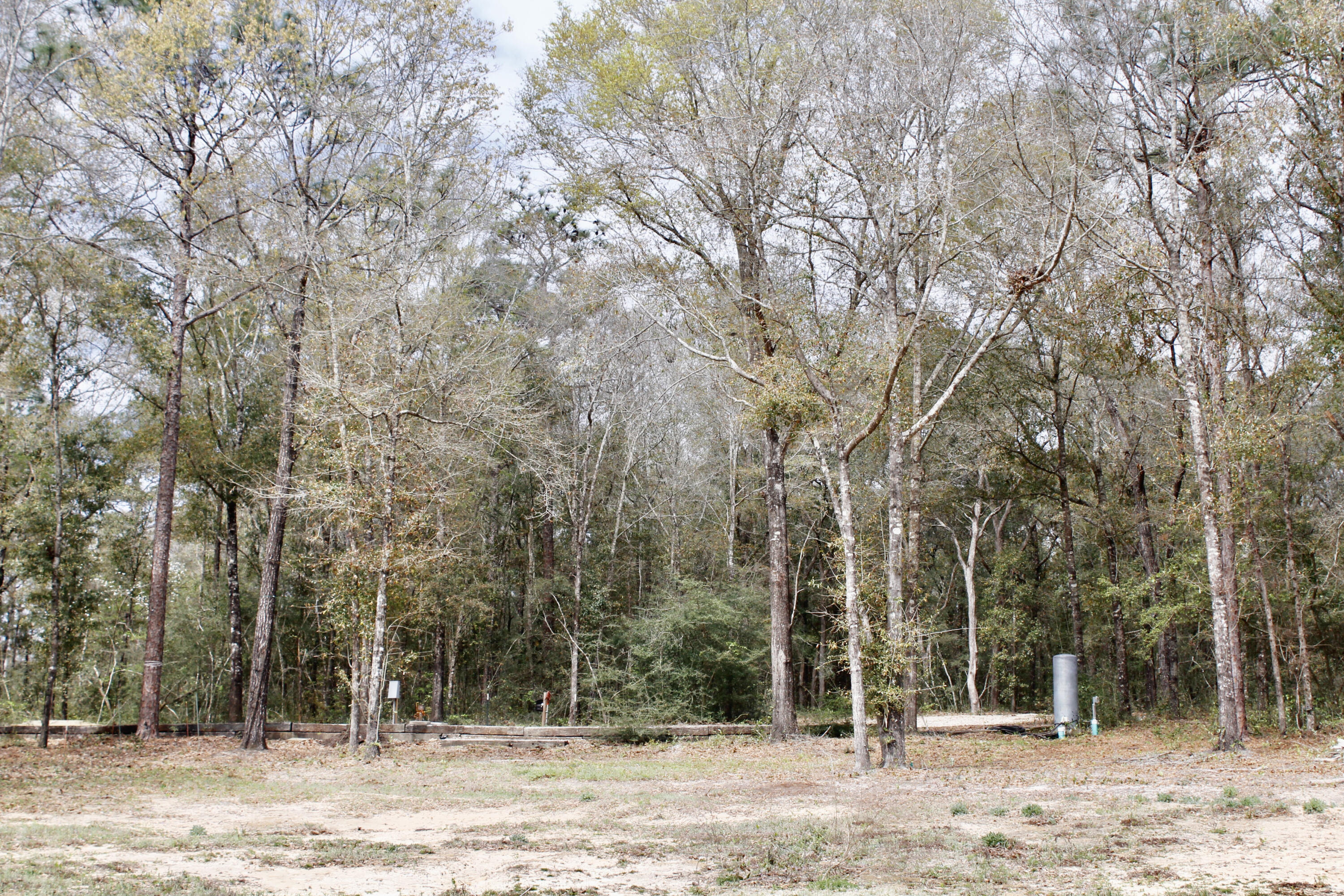 Holbrook Property - Land