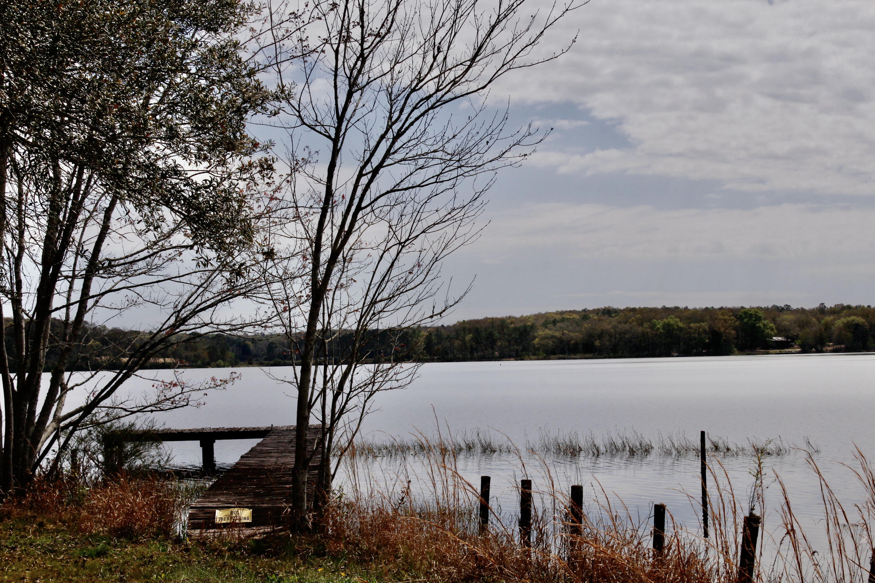 Holbrook Property - Land