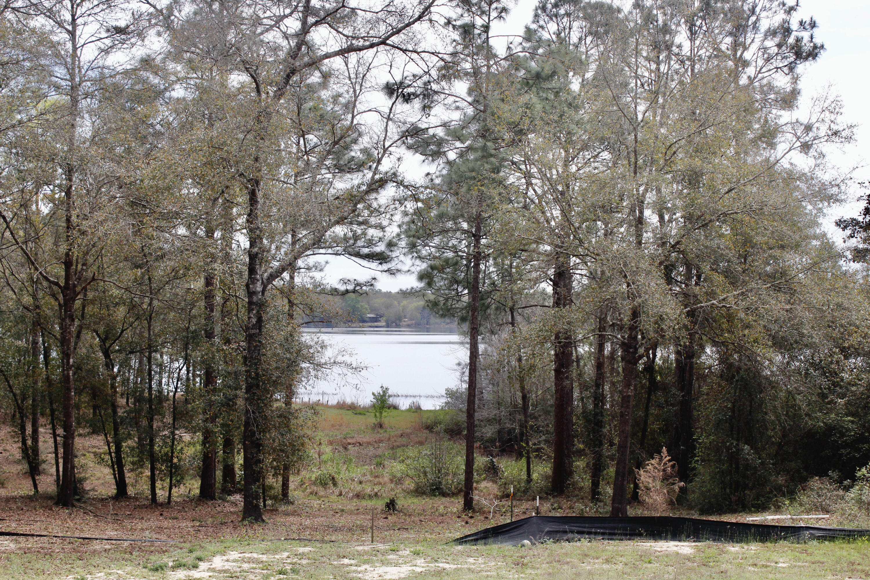 Holbrook Property - Land