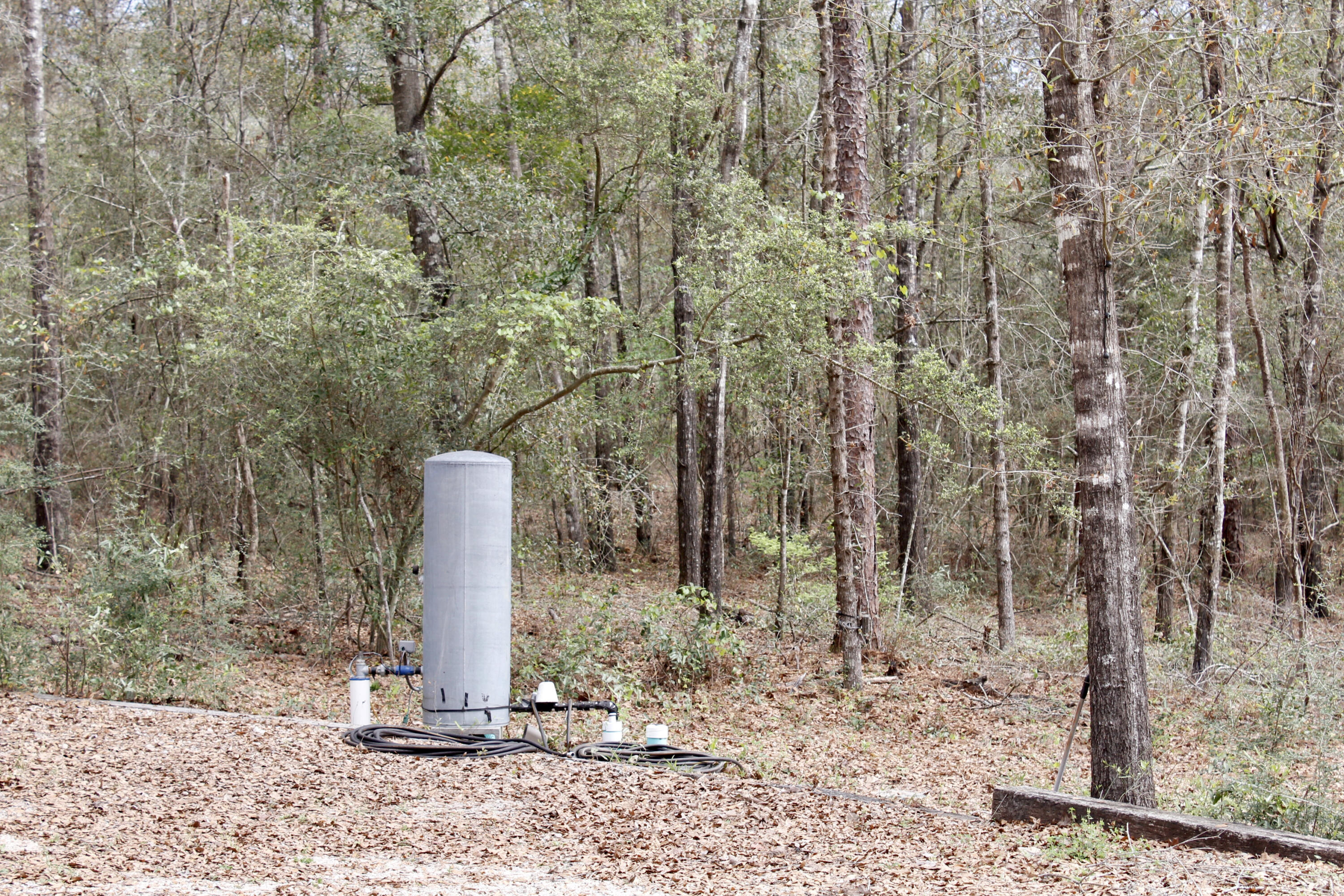 Holbrook Property - Land