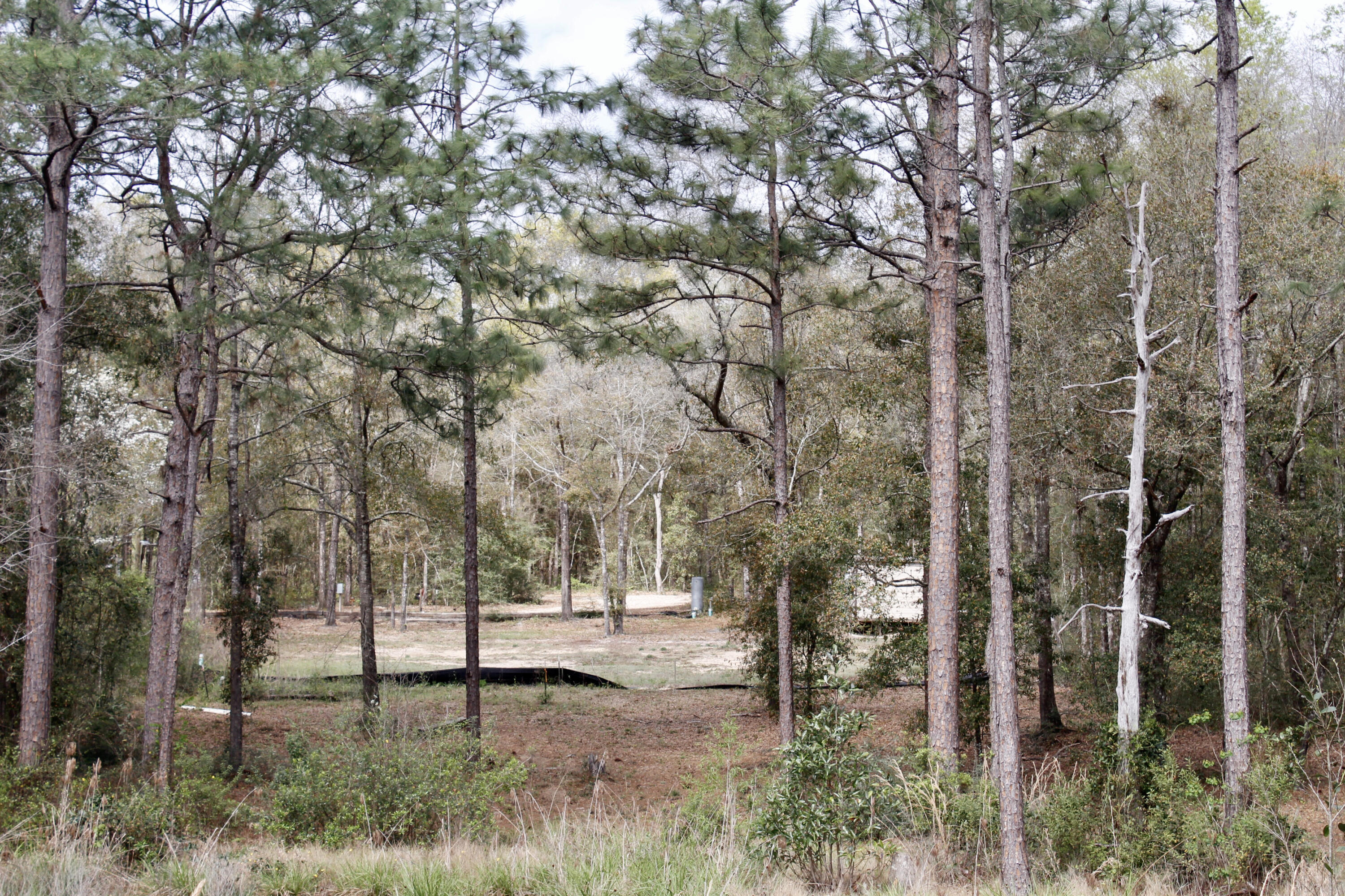 Holbrook Property - Land