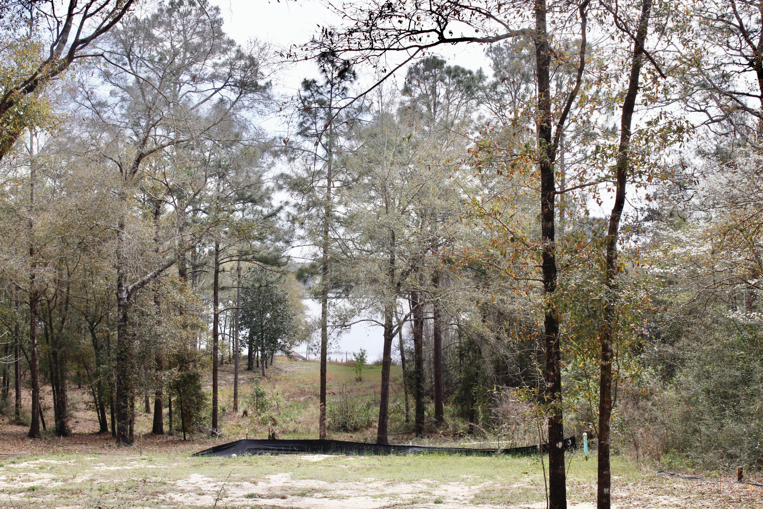 Holbrook Property - Land