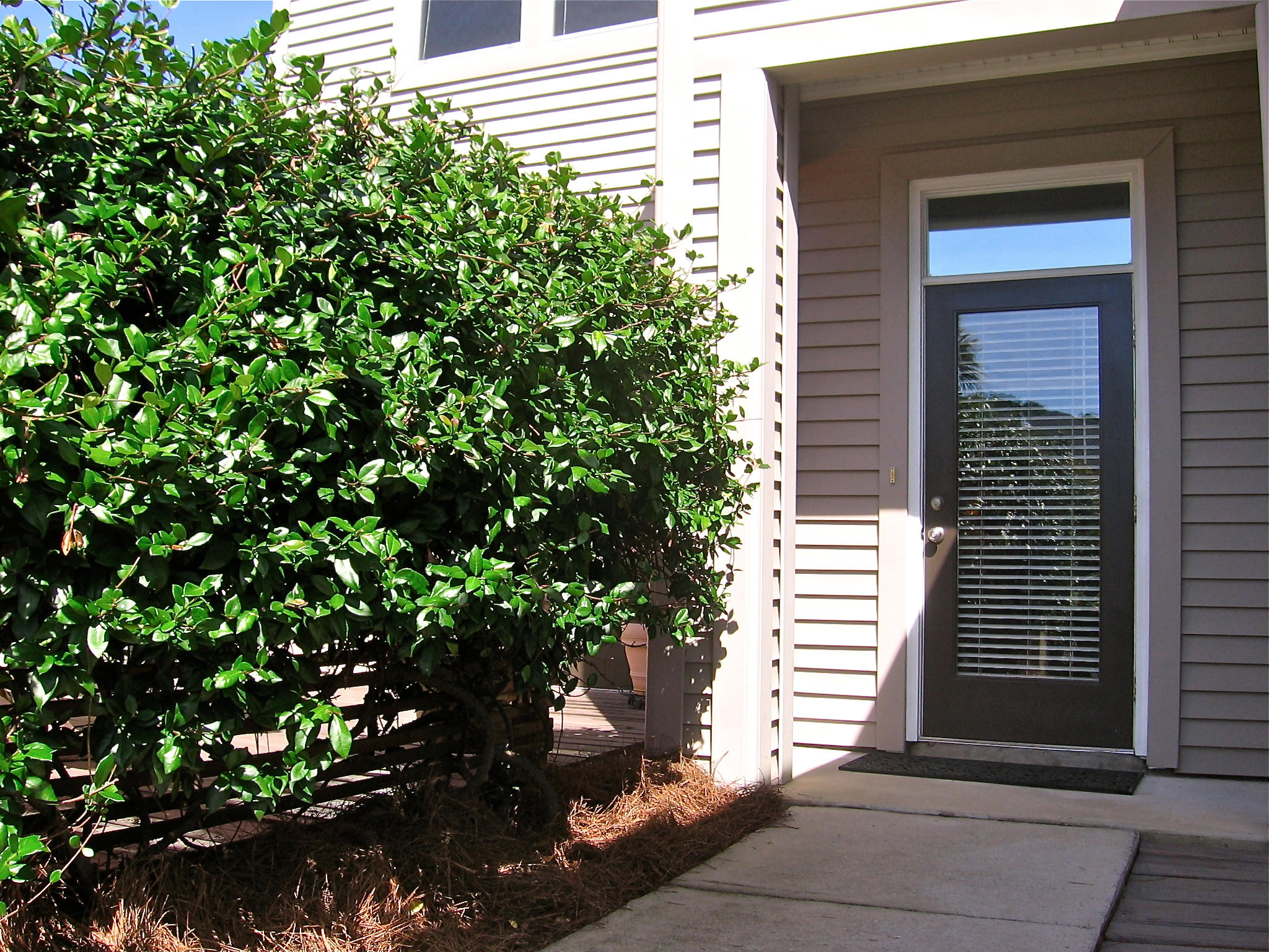 COURTYARDS OF SANTA ROSA BEACH - Residential