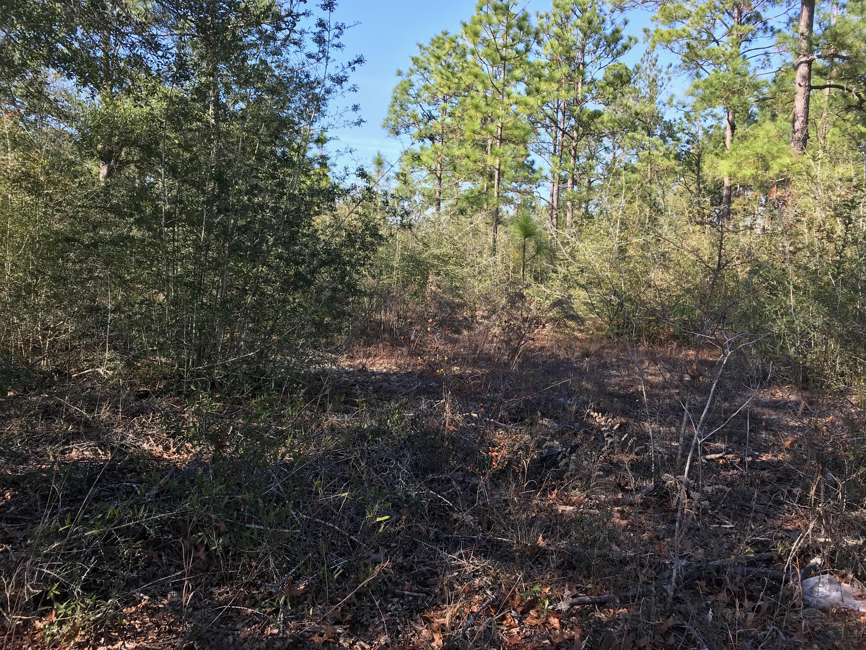 IMPERIAL LAKES - Land