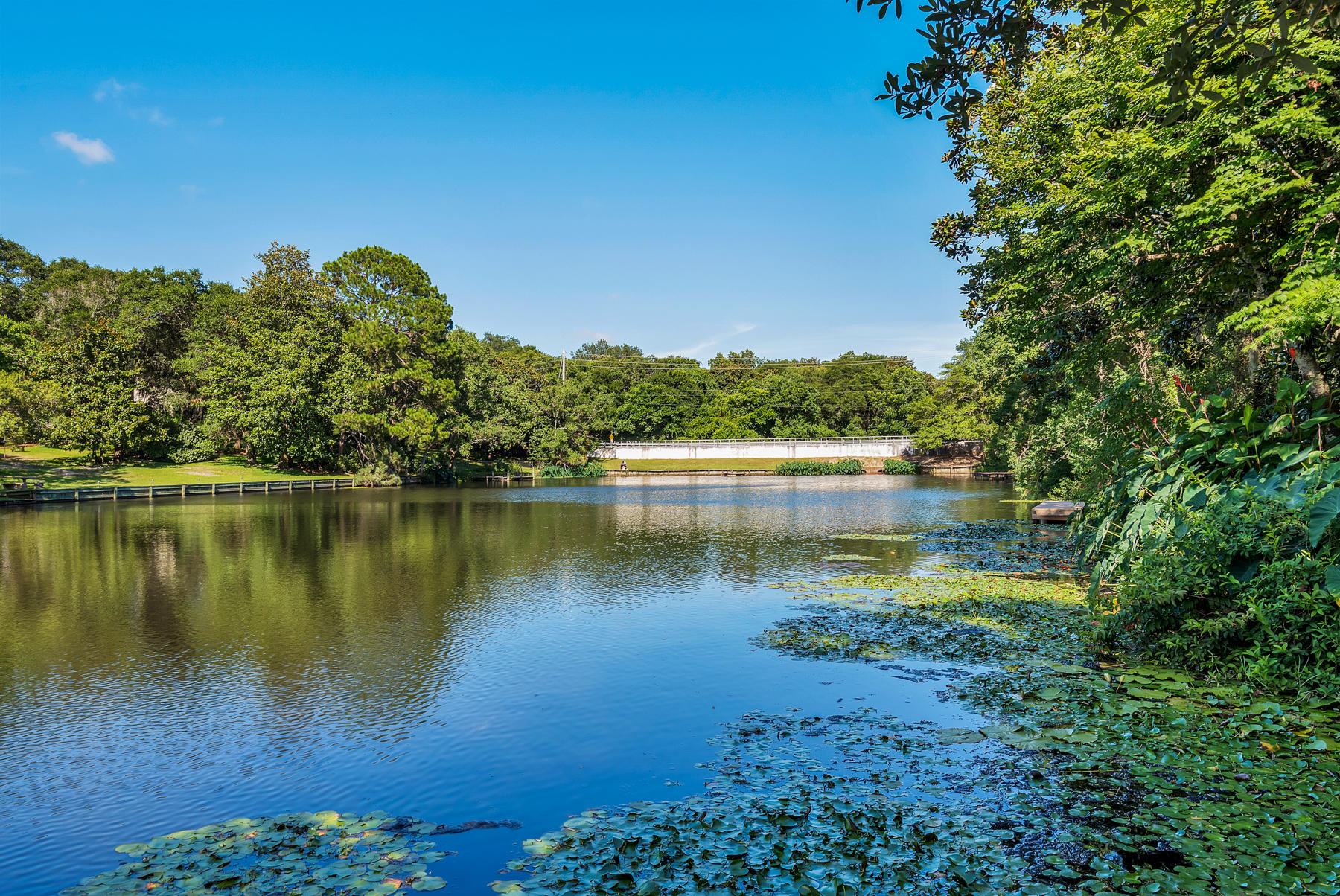 FOREST PARK UNIT 2 - Residential