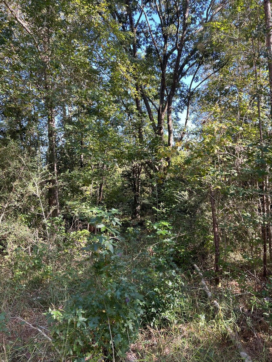 This property boast a mixture of timber, hardwoods, this beautiful acreage offers the best of that nature has to offer. Private enough for hunting yet close enough to allow easy access for grocery stores, movies, shops etc. Power easement. Buyer to verify all information deemed important.