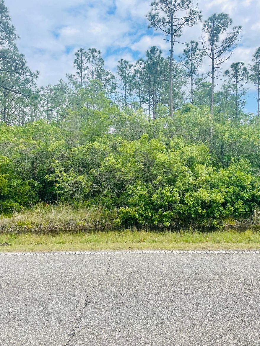 PRICED TO SELL QUICKLY! Beautiful 3/4 acre wooded lot on desirable E Bay Blvd. This would be great property to build your dream home or vacation property! Public boat ramp nearby for access to East Bay. Close to shopping, restaurants, schools, golf courses, entertainment and more.  A short drive to Navarre Beach and less than 20 miles to Hurlburt Field.