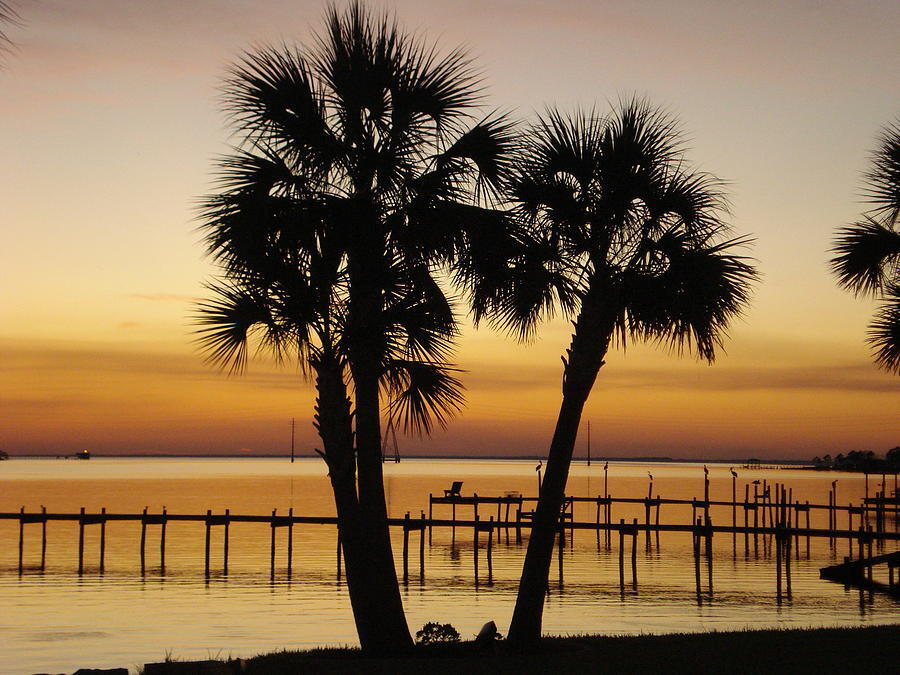 Lagniappe Beach - Land