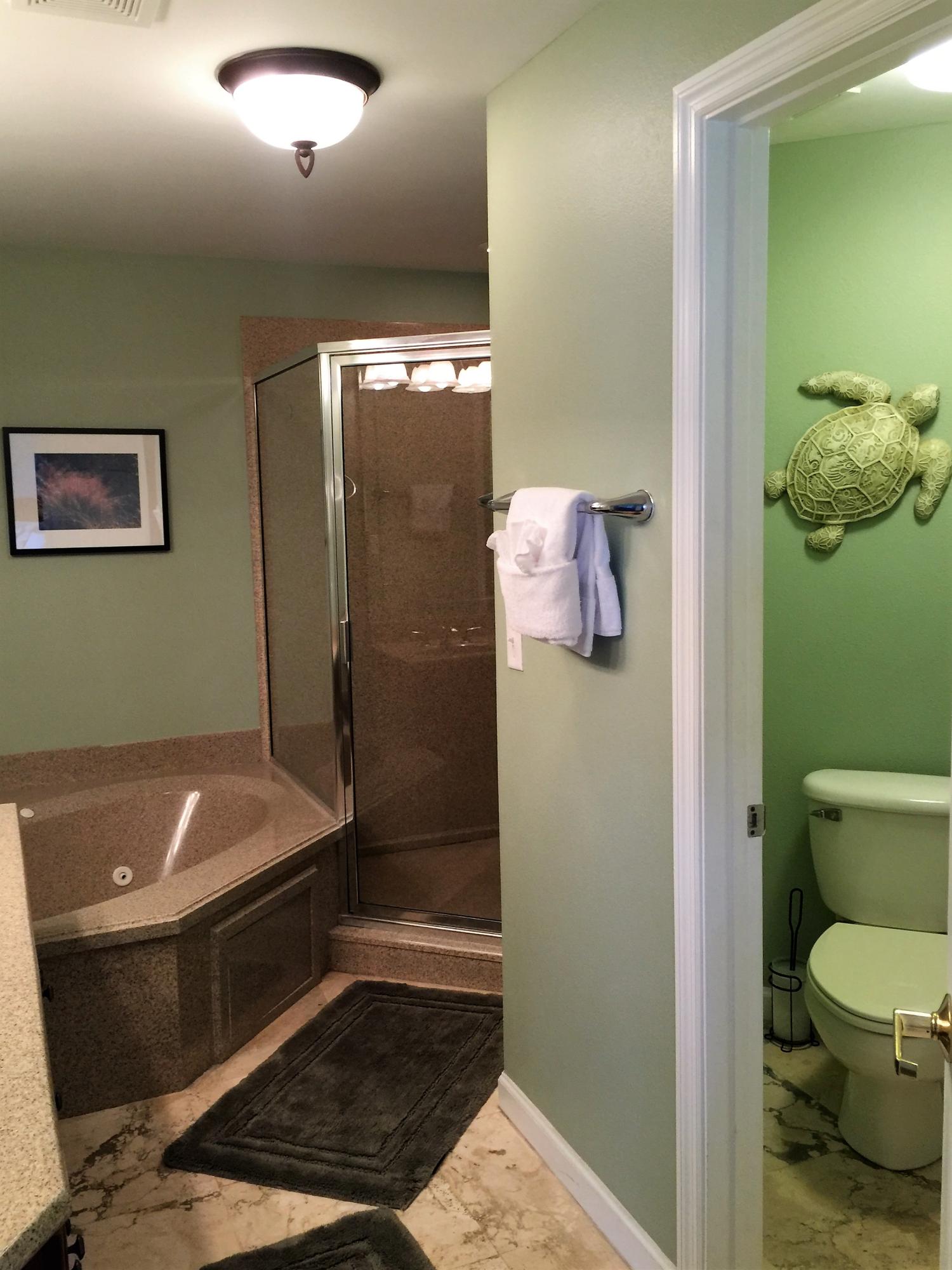 DUNES OF SEAGROVE - Residential