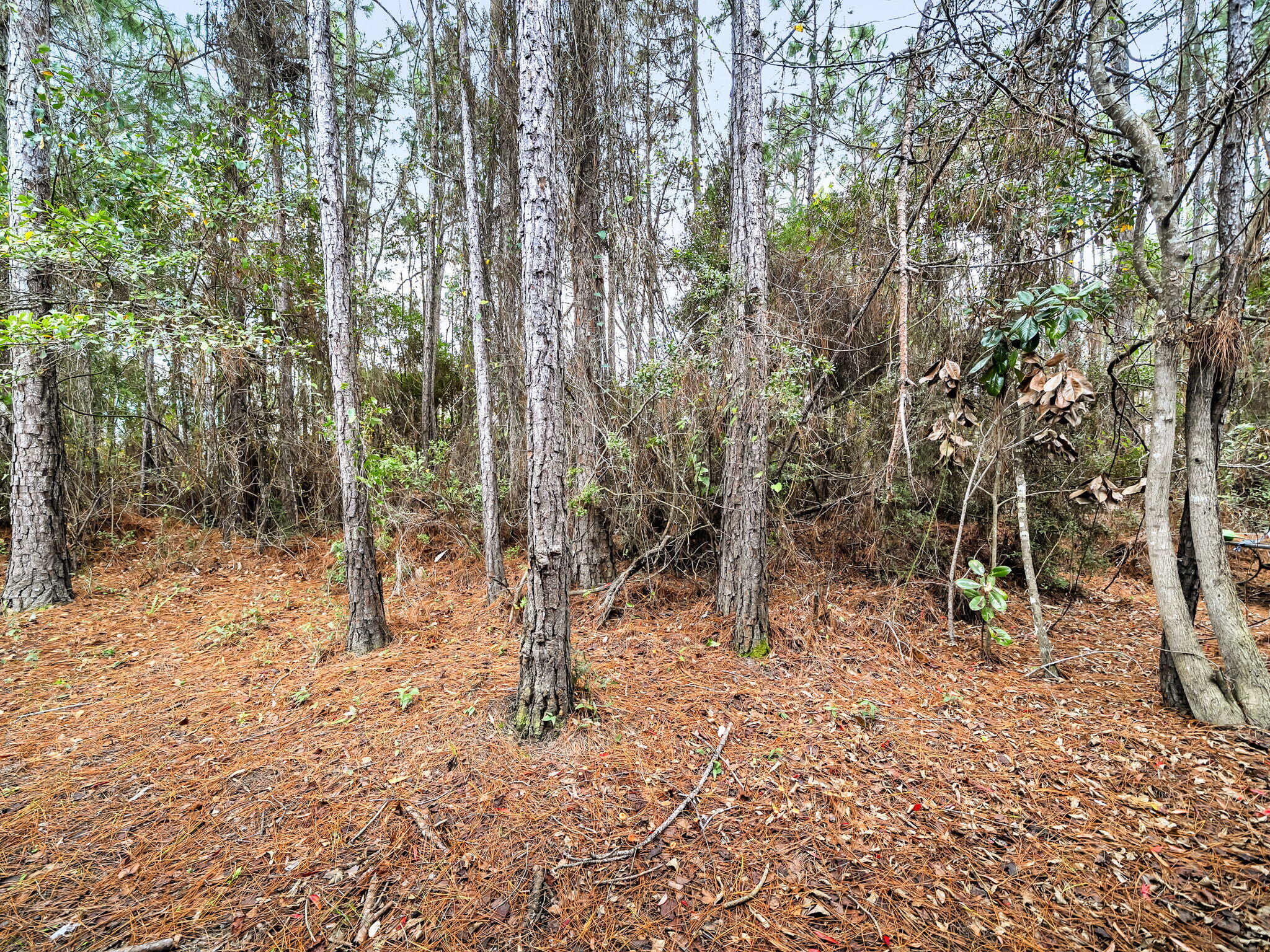 EAGLE BAY - Residential