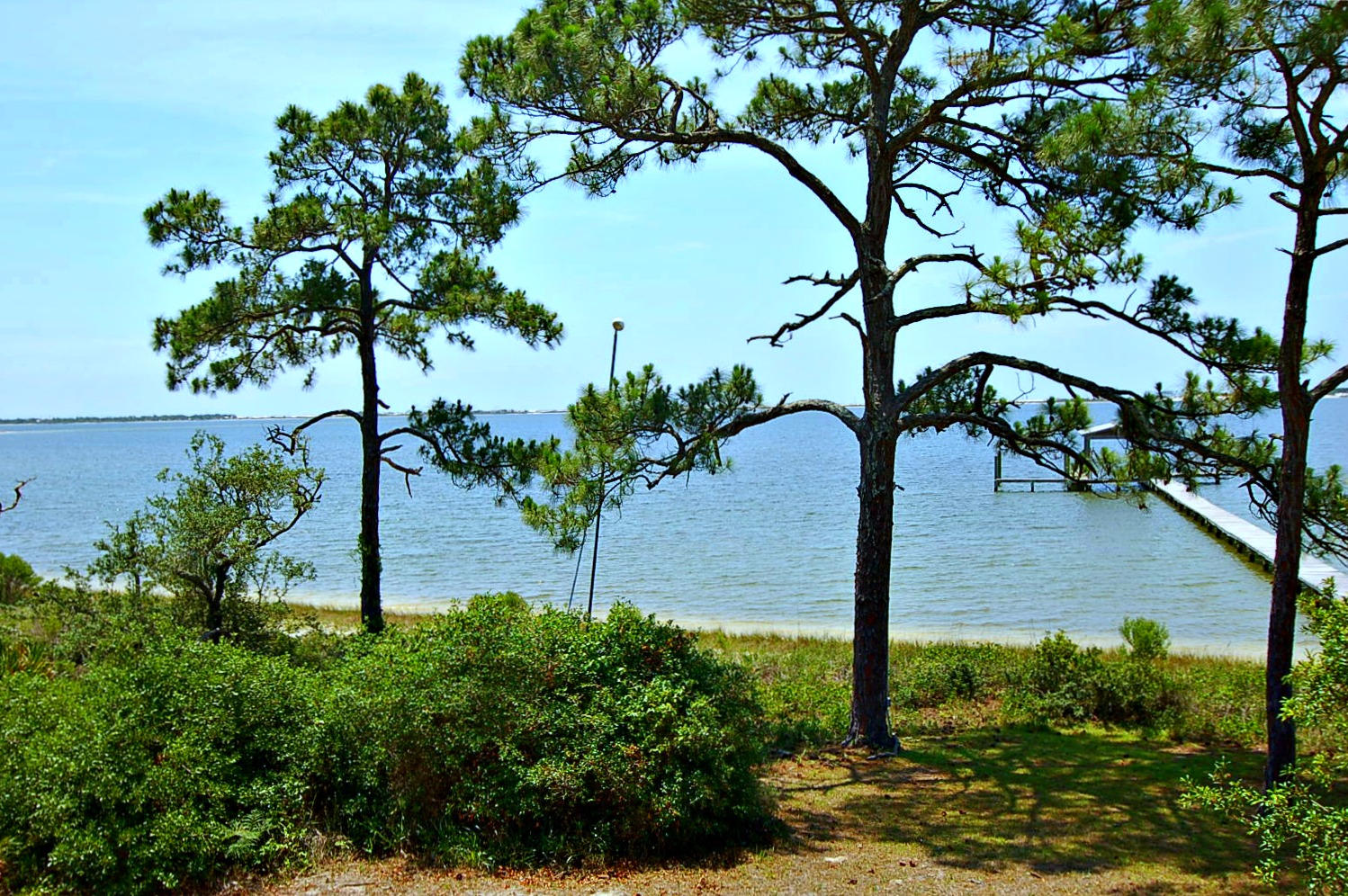 FOREST SHORES - Residential