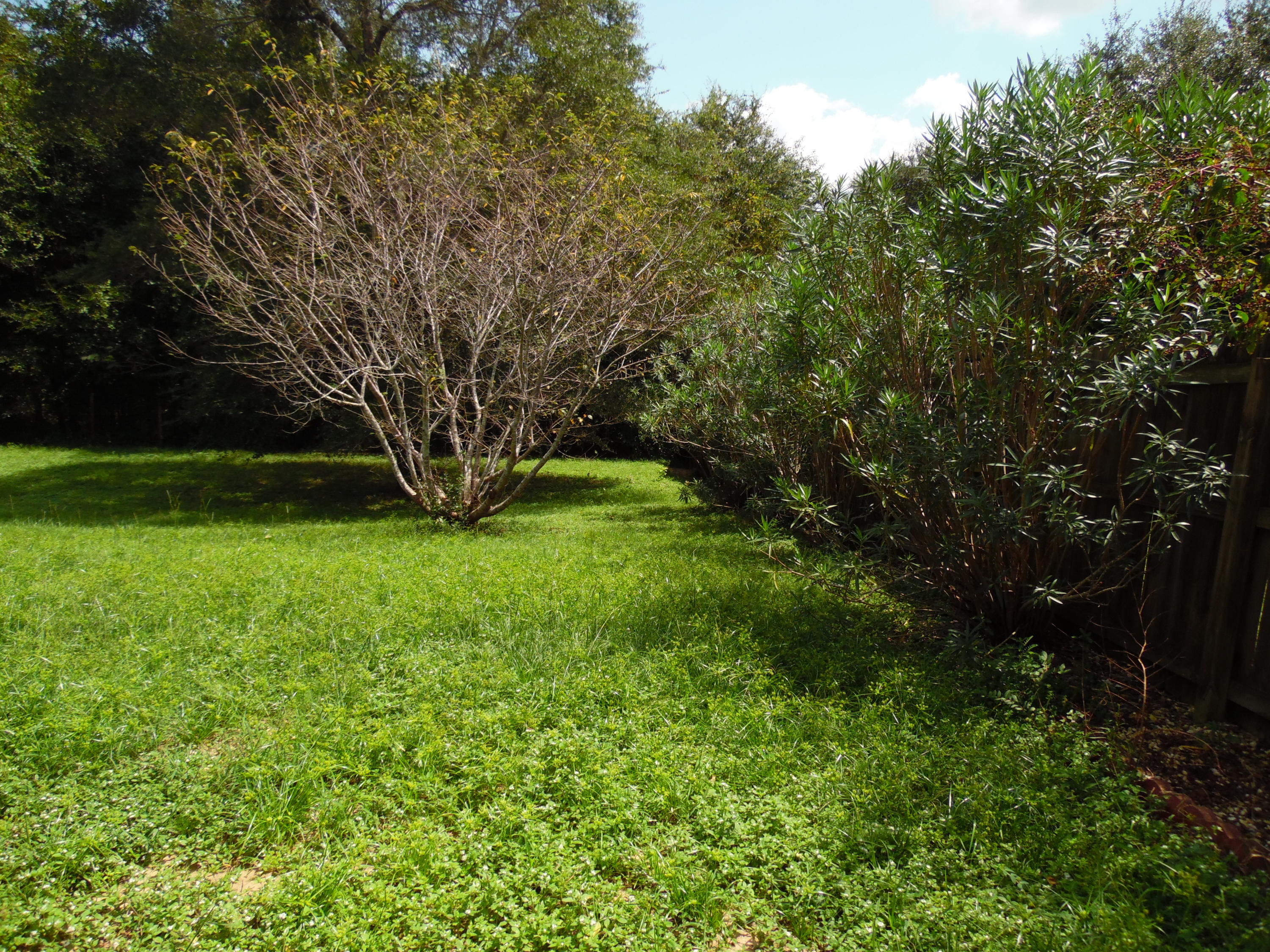 FAIRCHILD ESTATES - Residential