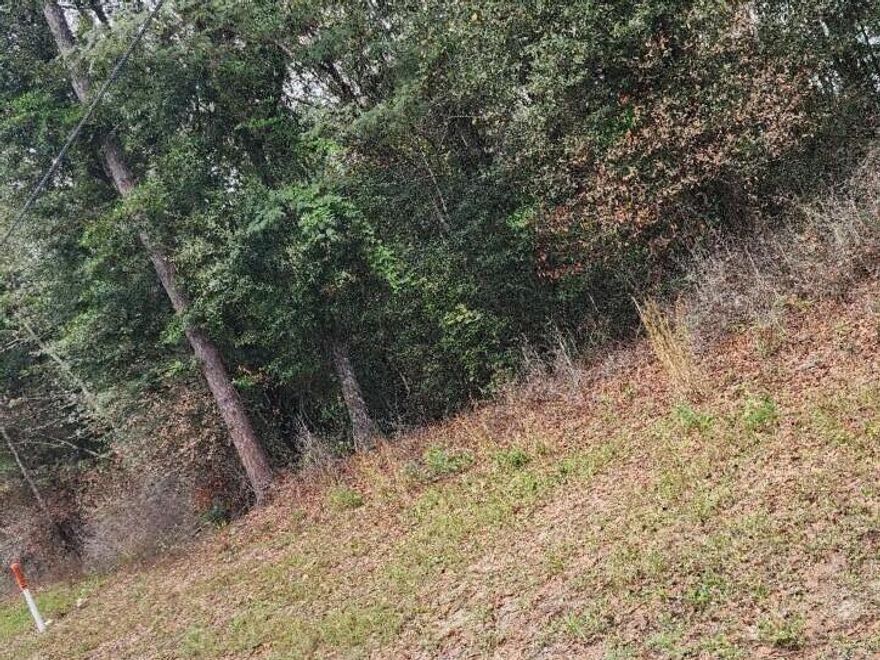 2 acre parcel located in the city limits of Paxton. Zoning is low density residential, 4 units per acre. Property is wooded.