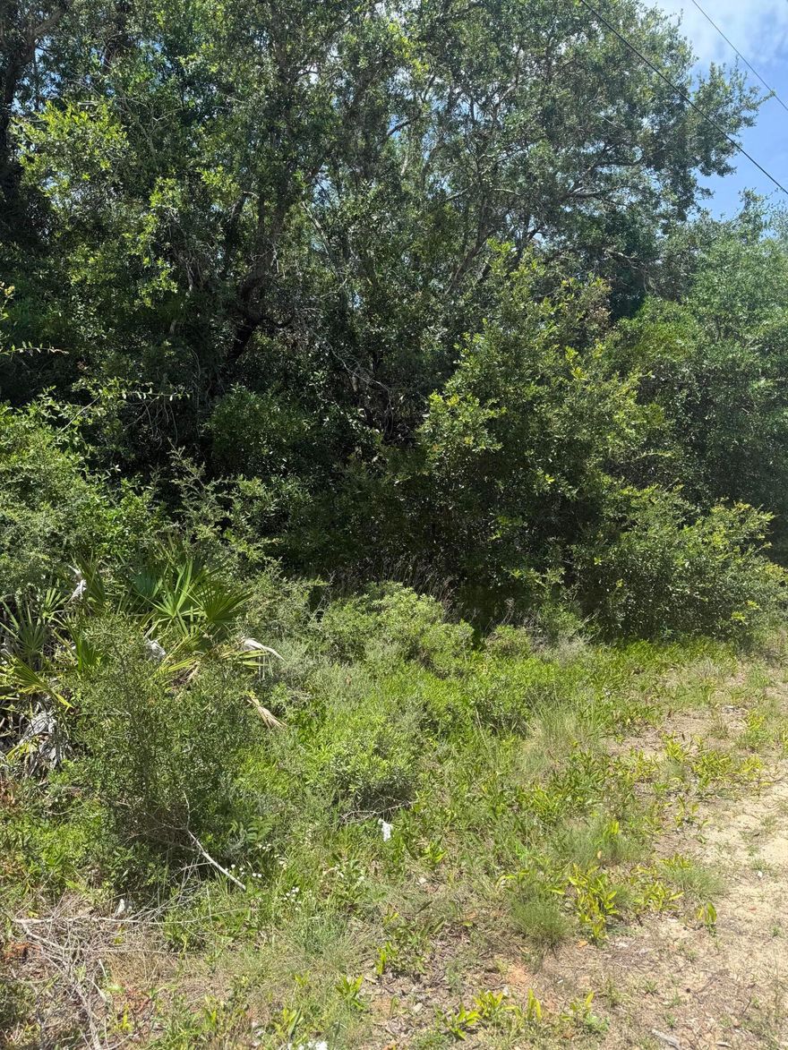 NO WETLANDS. NO HOA. IMPACT fees paid!! WATER AND SEWER TAP FEES PAID!!!  SURVEY DONE!! Act quickly!  This is a rare find nowadays and it's a PRIZED LOT! Huge 100' x 200' corner lot (corner adds 20') lot is big-parking cars, boats, motor homes; pool, garden, etc. & STILL have a big yard; mature trees; paved road; convenient to great schools, shopping, medical, Florida beaches, interstates, groceries, entertainment, recreation; natural gas available;