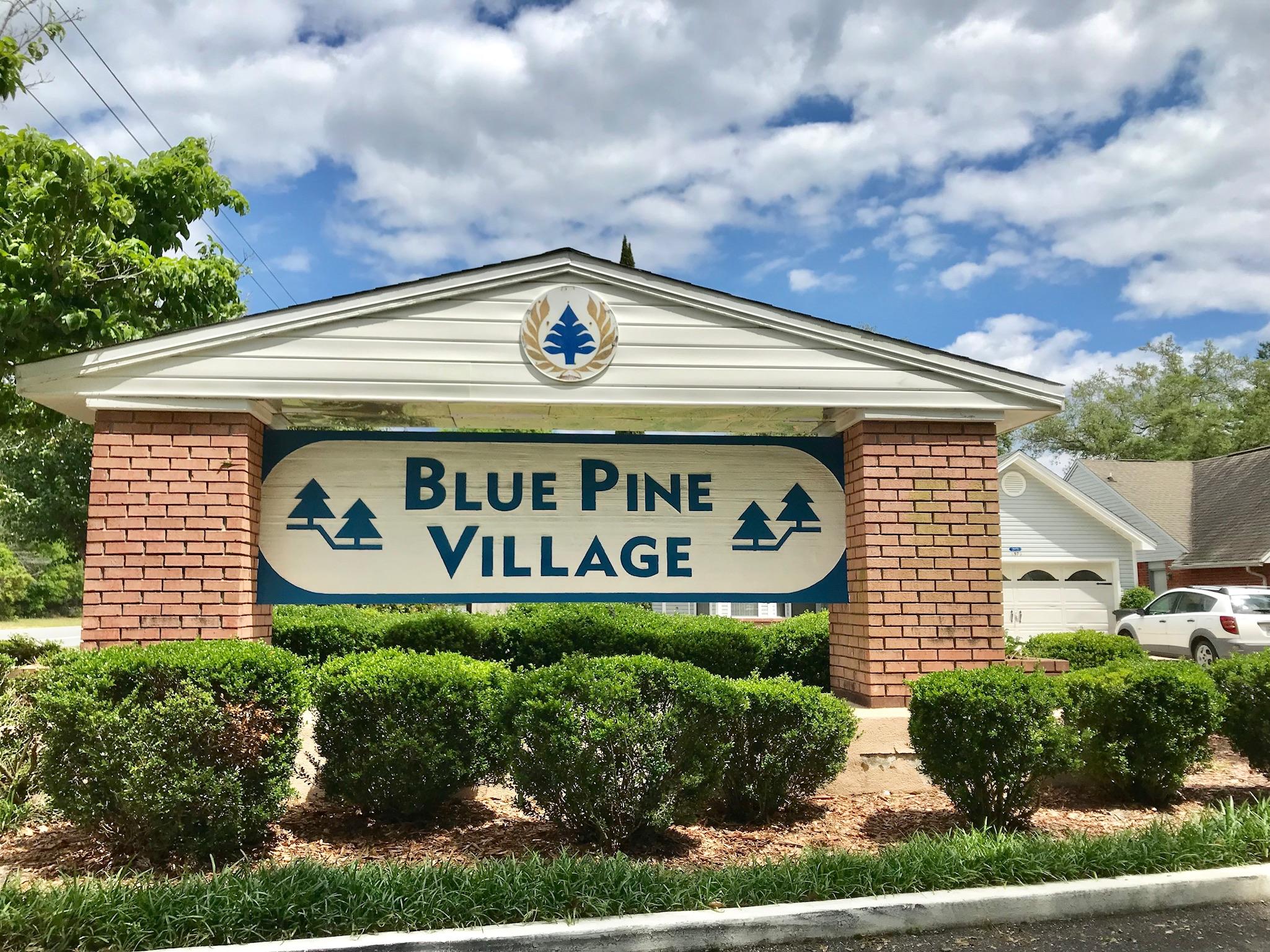 BLUE PINE VILLAGE AMENDED - Residential