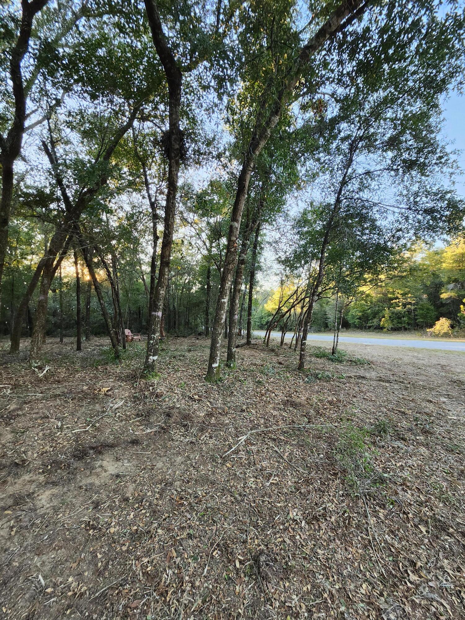 Sunny Hills S/D Unit 1 - Land